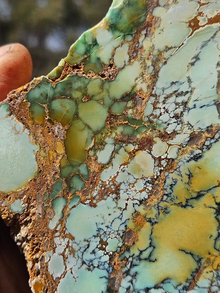 Polished Variscite   VP314