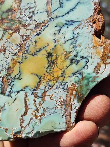 Polished Variscite   VP314
