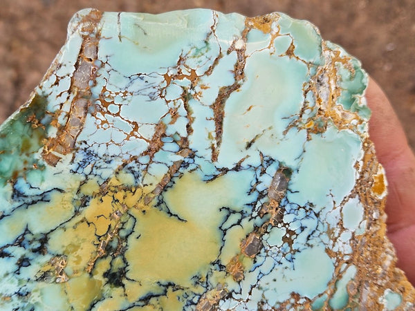 Polished Variscite   VP314