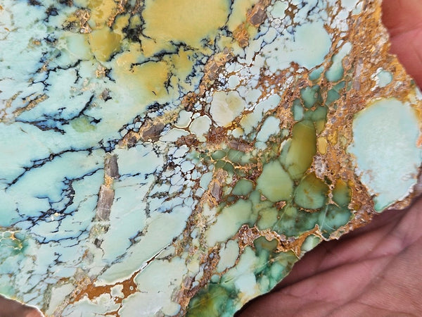 Polished Variscite   VP314