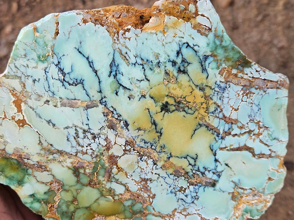 Polished Variscite   VP314