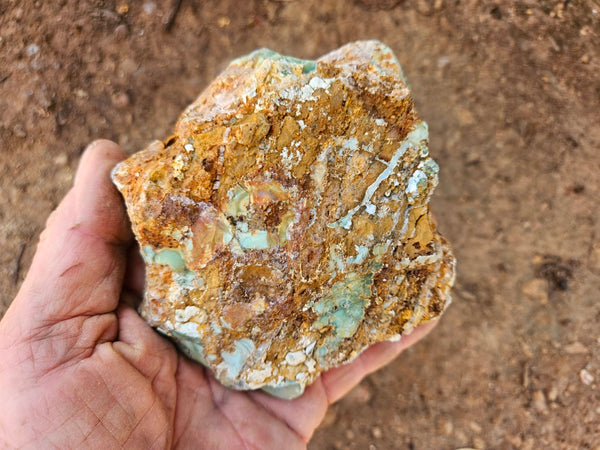 Polished Variscite   VP314