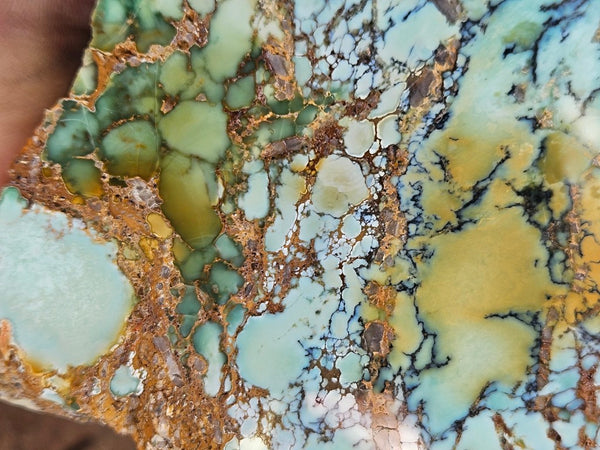 Polished Variscite   VP314