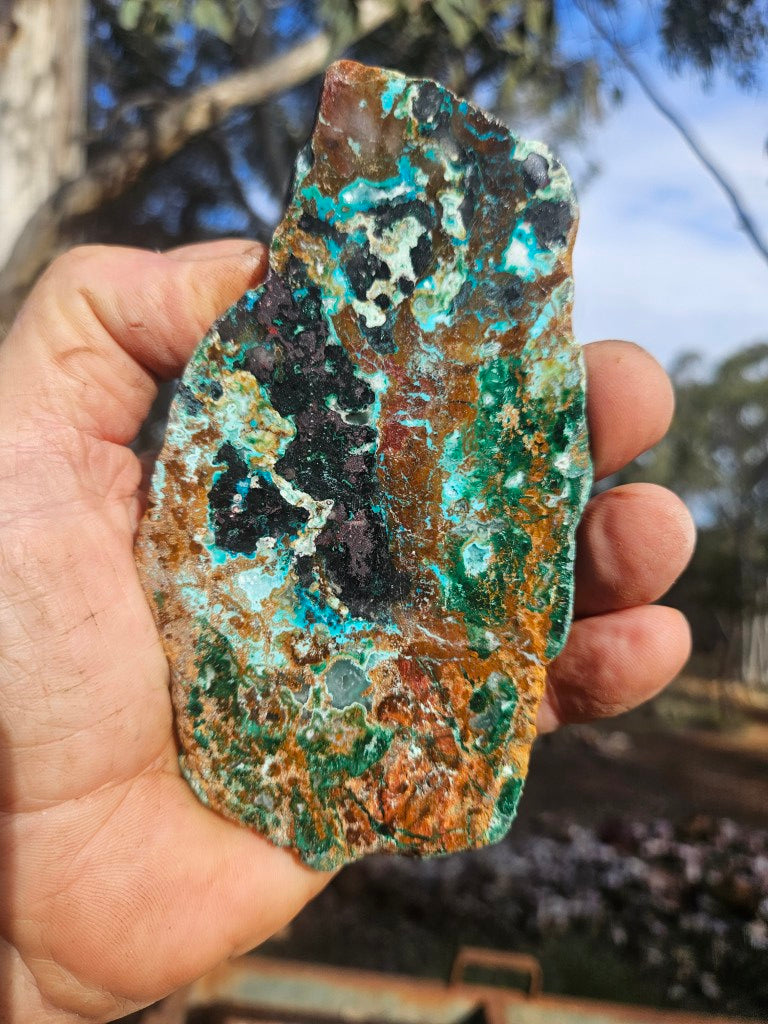 Polished De Grussa copper ore .  CO151