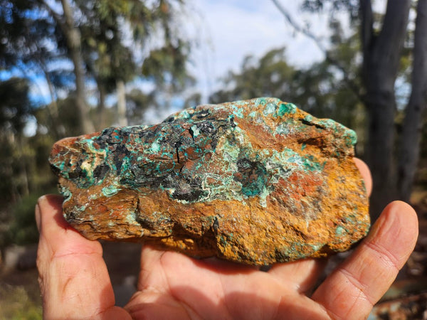Polished De Grussa copper ore .  CO151