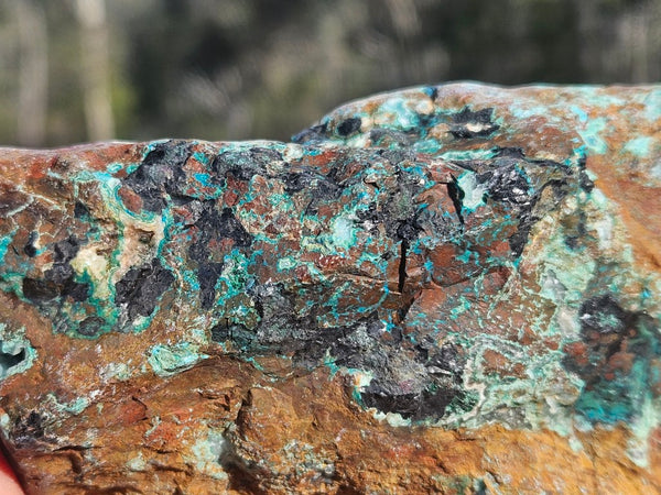 Polished De Grussa copper ore .  CO151