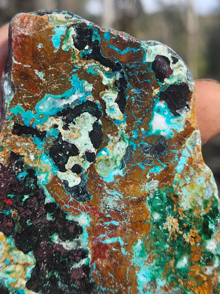 Polished De Grussa copper ore .  CO151