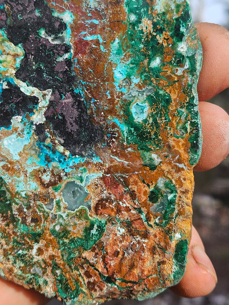 Polished De Grussa copper ore .  CO151