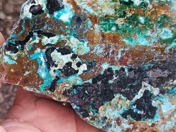 Polished De Grussa copper ore .  CO151