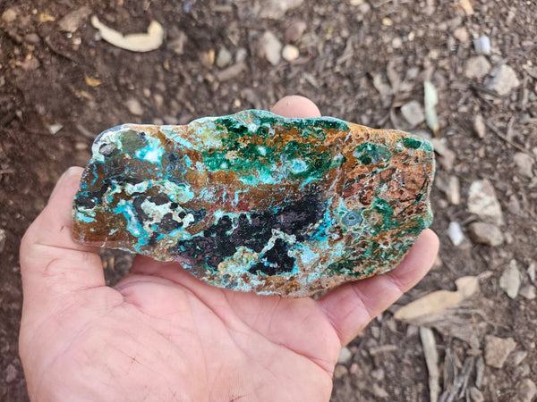 Polished De Grussa copper ore .  CO151