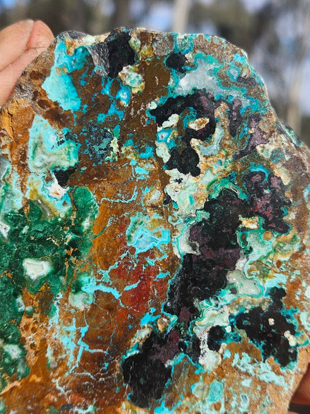 Polished De Grussa copper ore .  CO150