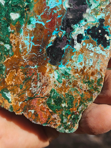 Polished De Grussa copper ore .  CO150