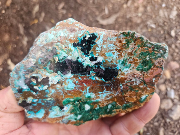 Polished De Grussa copper ore .  CO150