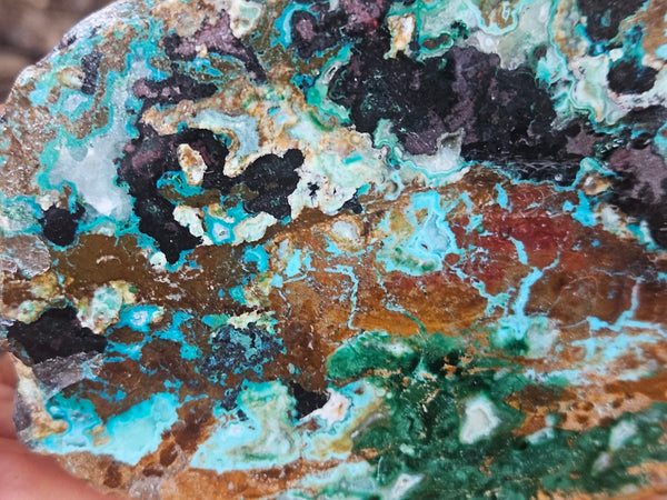 Polished De Grussa copper ore .  CO150