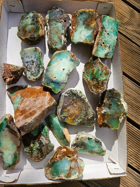 Bulk lot of 12 polished Chrysoprase . CH505