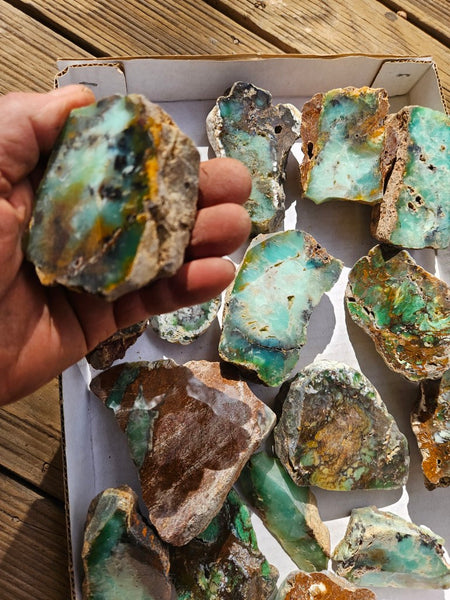 Bulk lot of 12 polished Chrysoprase . CH505