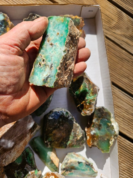Bulk lot of 12 polished Chrysoprase . CH505