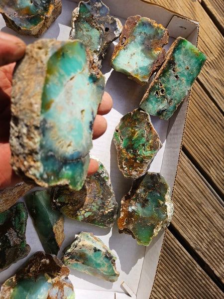Bulk lot of 12 polished Chrysoprase . CH505