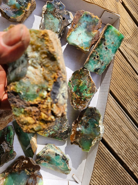Bulk lot of 12 polished Chrysoprase . CH505
