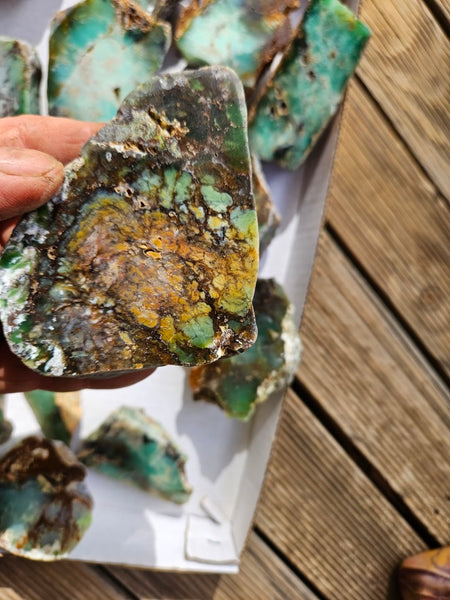 Bulk lot of 12 polished Chrysoprase . CH505