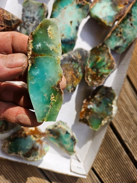 Bulk lot of 12 polished Chrysoprase . CH505