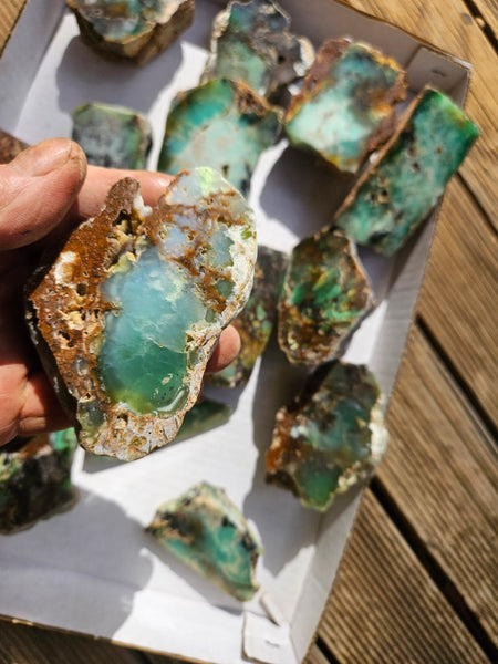 Bulk lot of 12 polished Chrysoprase . CH505