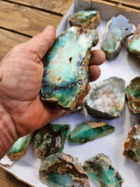 Bulk lot of 12 polished Chrysoprase . CH505