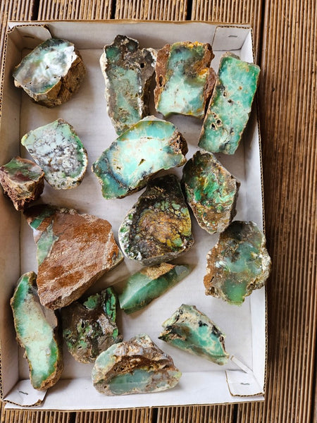 Bulk lot of 12 polished Chrysoprase . CH505