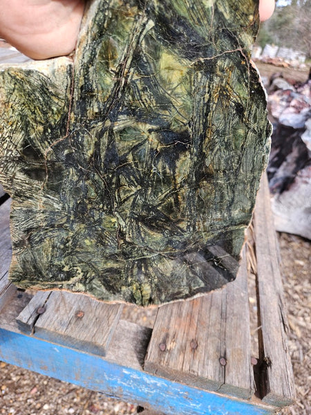 Polished Komatiite slab KOM114  John