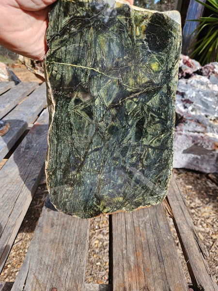 Polished Komatiite slab KOM115    John