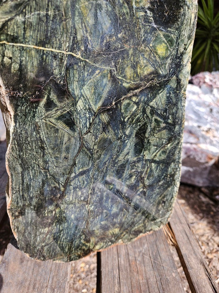 Polished Komatiite slab KOM115    John
