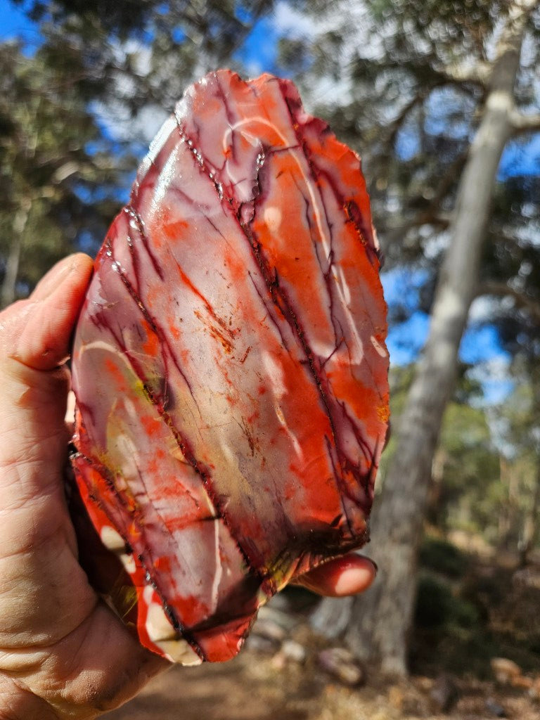 Mookaite rough.  MKR 312