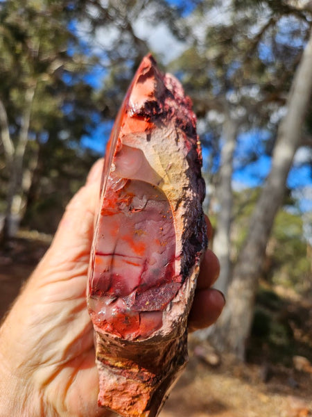 Mookaite rough.  MKR 312