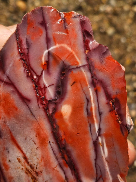Mookaite rough.  MKR 312
