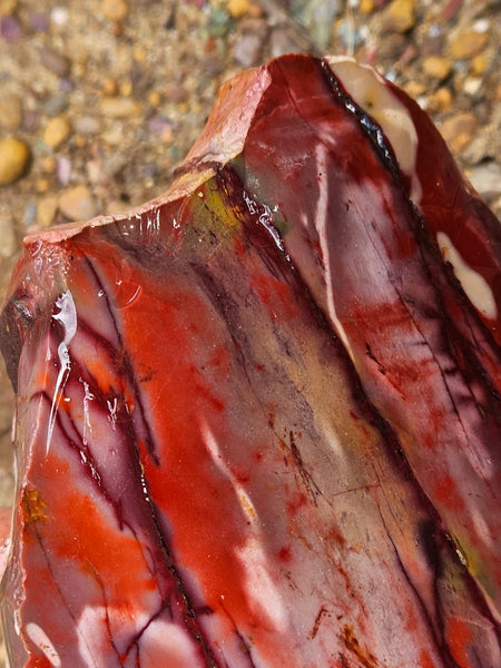 Mookaite rough.  MKR 312