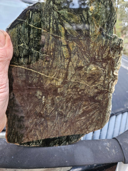 Polished Komatiite slab KOM116    John