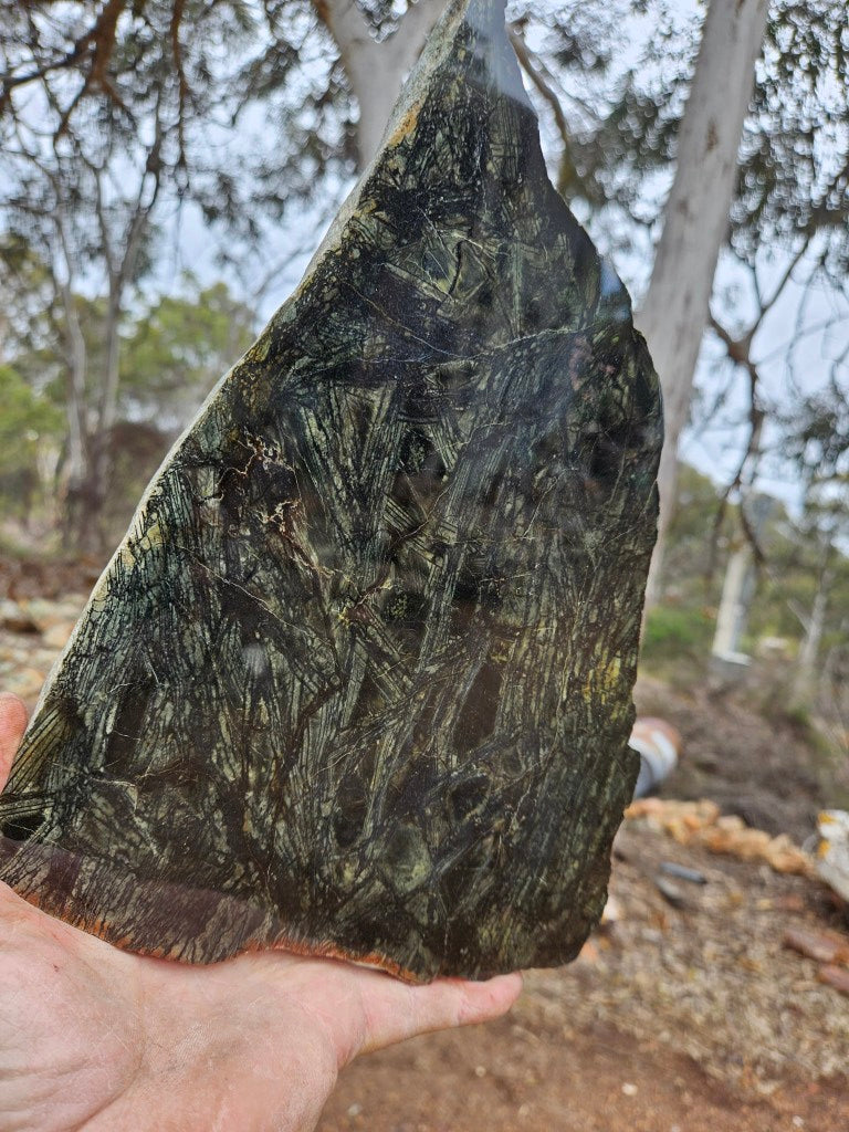 Polished Komatiite slab KOM118    John