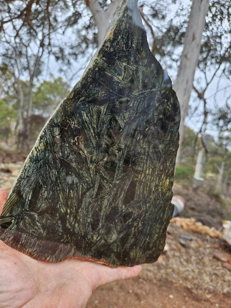 Polished Komatiite slab KOM118    John