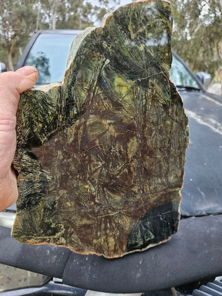 Polished Komatiite slab KOM114  John
