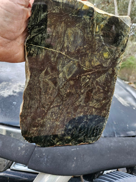 Polished Komatiite slab KOM115    John
