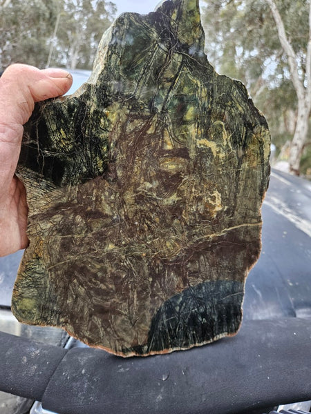 Polished Komatiite slab KOM119    John