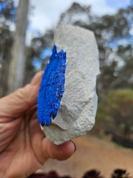 Azurite Sun  AZ214