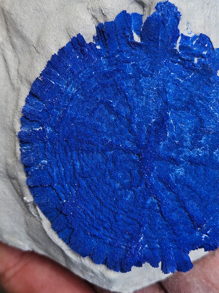Azurite Sun  AZ214