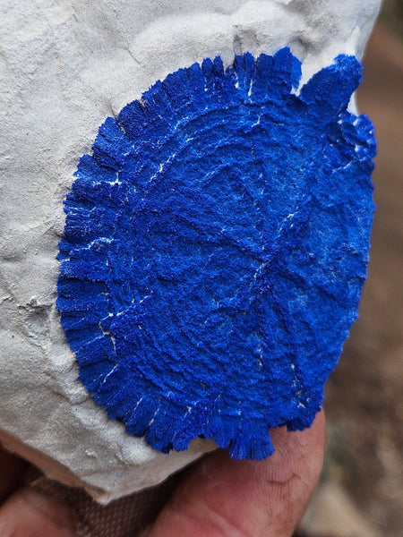 Azurite Sun  AZ214
