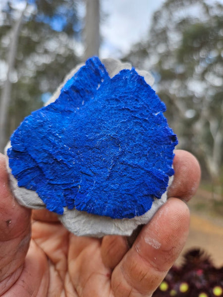Azurite Sun  AZ215