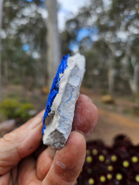 Azurite Sun  AZ215