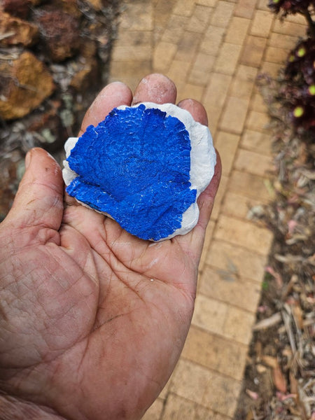 Azurite Sun  AZ215