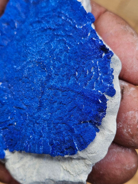 Azurite Sun  AZ215