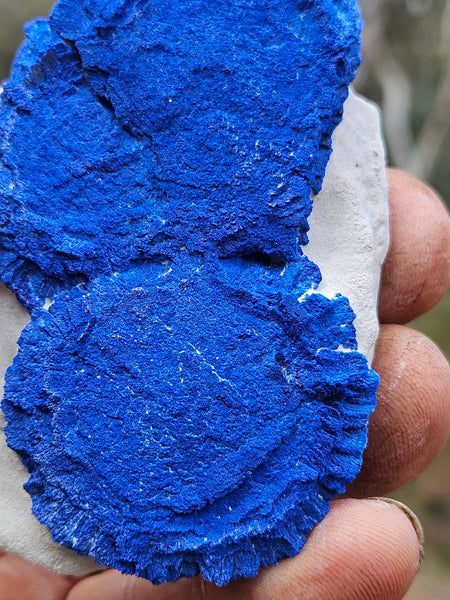 Azurite Sun  AZ216