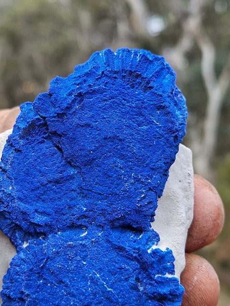 Azurite Sun  AZ216